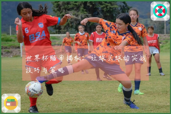 世界杯赔率揭秘：让球买球的实战技巧与策略