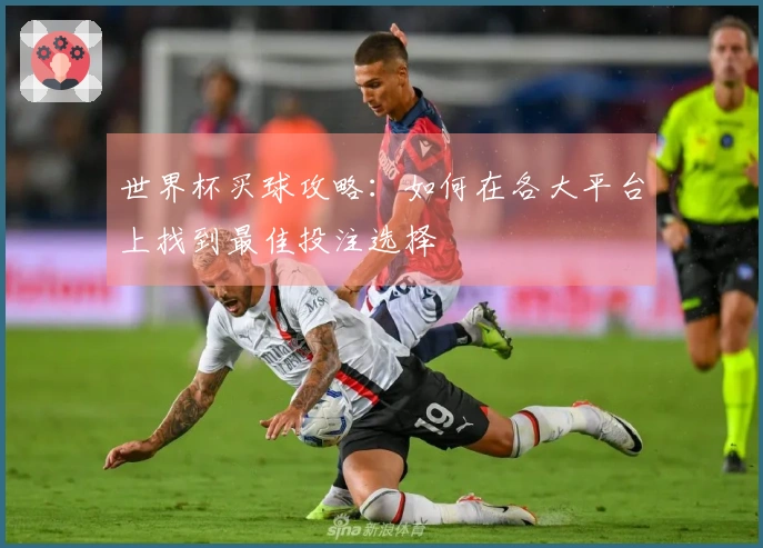 世界杯买球攻略：如何在各大平台上找到最佳投注选择