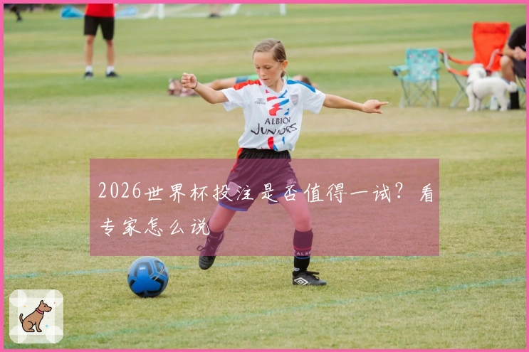 2026世界杯投注是否值得一试？看专家怎么说