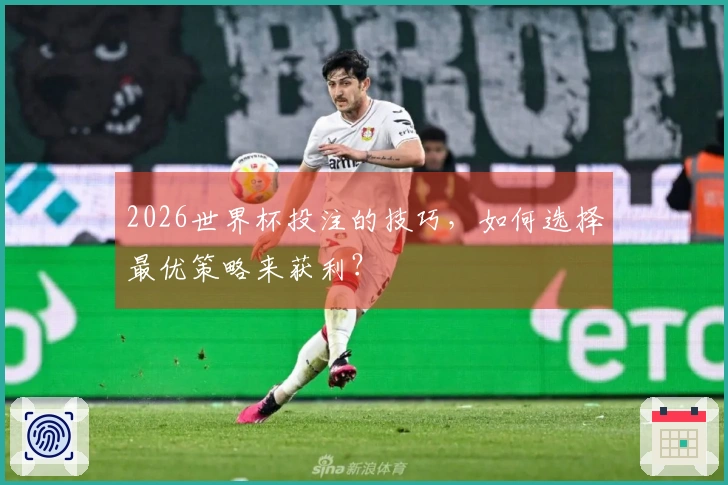 2026世界杯投注的技巧，如何选择最优策略来获利？