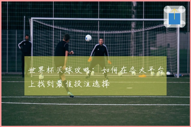 世界杯买球攻略：如何在各大平台上找到最佳投注选择