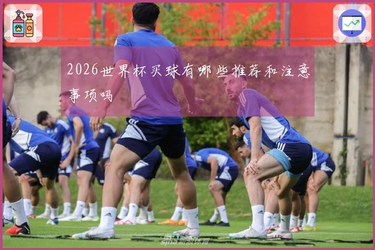 2026世界杯买球有哪些推荐和注意事项吗