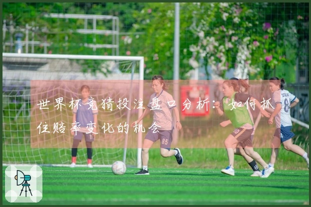 世界杯竞猜投注盘口分析：如何抓住赔率变化的机会