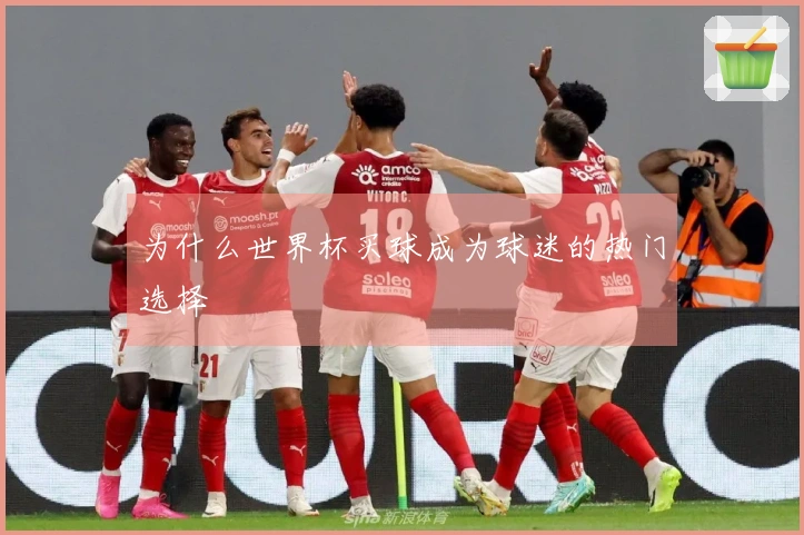 为什么世界杯买球成为球迷的热门选择