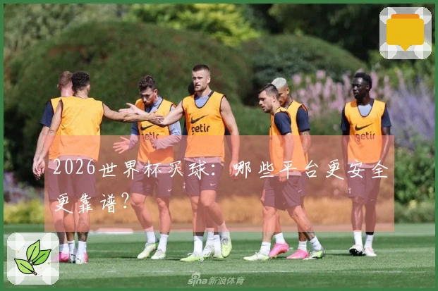2026世界杯买球：哪些平台更安全更靠谱？
