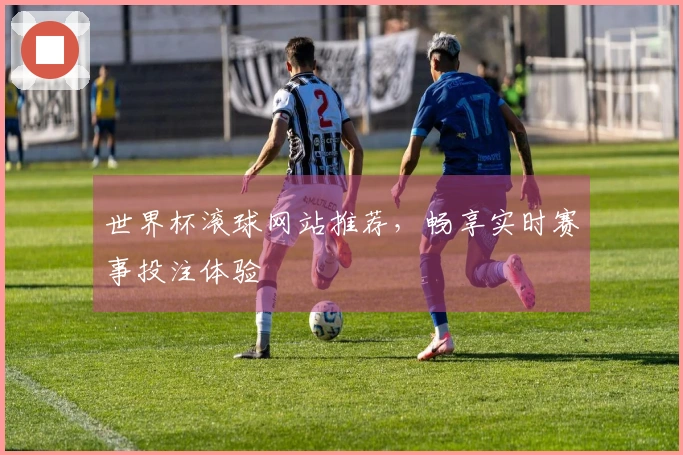 世界杯滚球网站推荐，畅享实时赛事投注体验