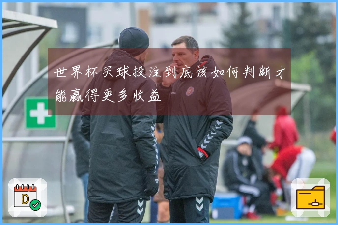 世界杯买球投注到底该如何判断才能赢得更多收益