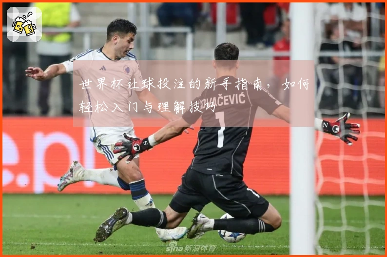 世界杯让球投注的新手指南，如何轻松入门与理解技巧