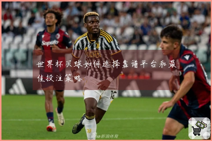 世界杯买球如何选择靠谱平台和最佳投注策略
