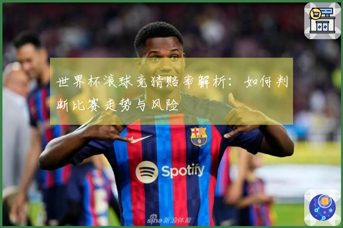 世界杯滚球竞猜赔率解析：如何判断比赛走势与风险