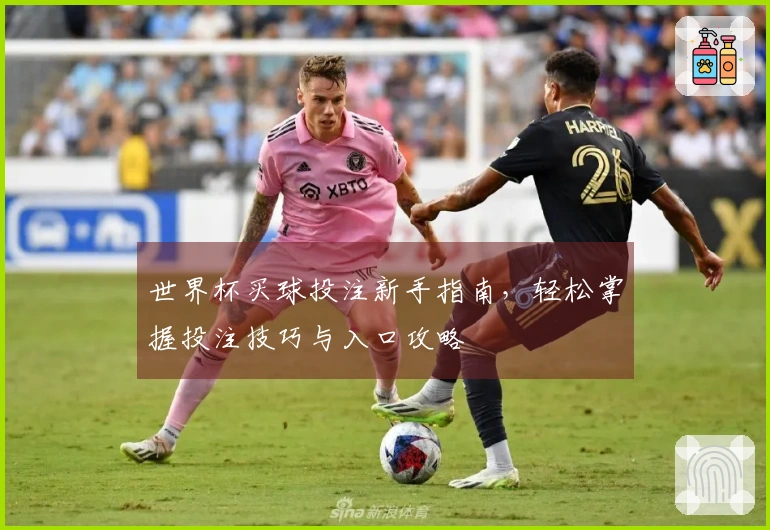世界杯买球投注新手指南，轻松掌握投注技巧与入口攻略