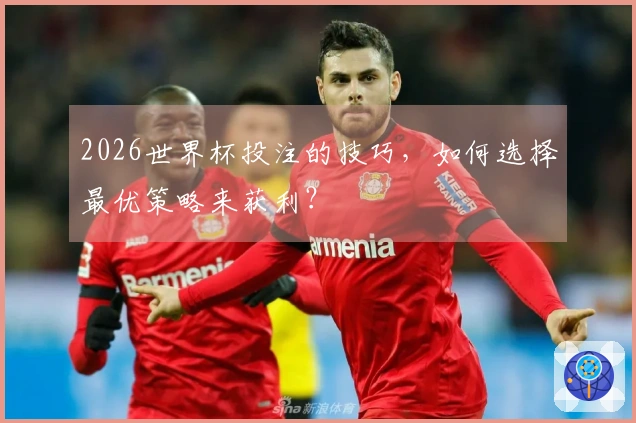2026世界杯投注的技巧，如何选择最优策略来获利？