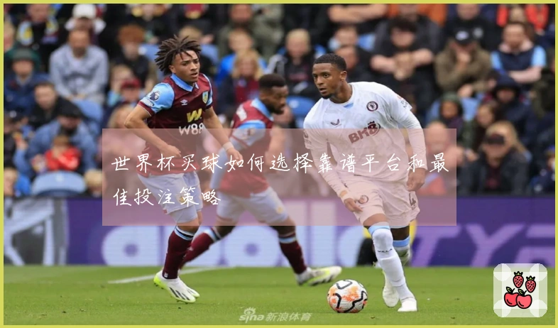 世界杯买球如何选择靠谱平台和最佳投注策略