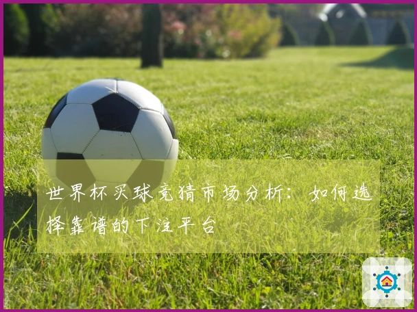世界杯买球竞猜市场分析：如何选择靠谱的下注平台