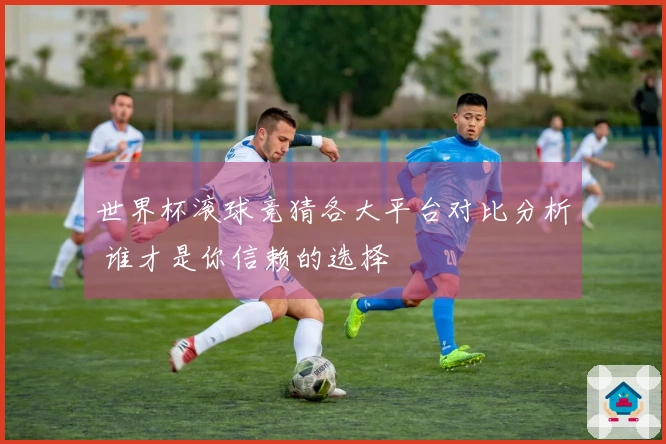 世界杯滚球竞猜各大平台对比分析 谁才是你信赖的选择