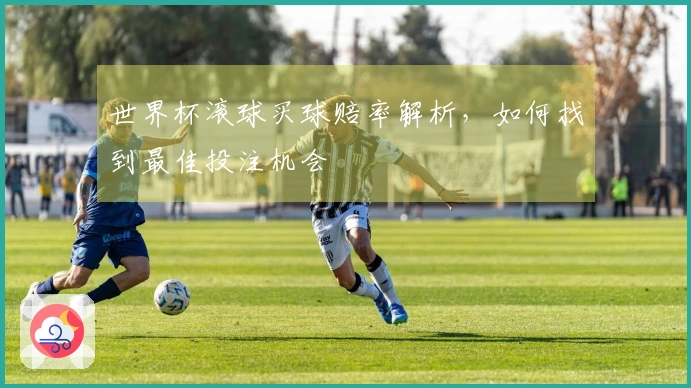 世界杯滚球买球赔率解析，如何找到最佳投注机会